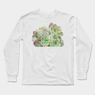 Green succulents artwork Long Sleeve T-Shirt